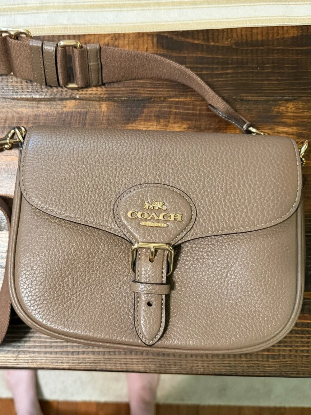 Coach Amelia Saddle Bag in Dark Stone